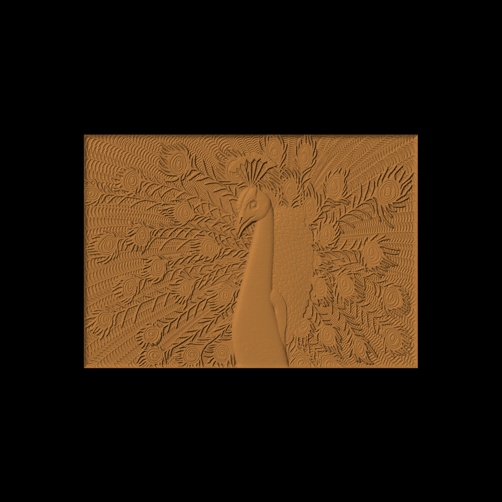 Peacock Pattern